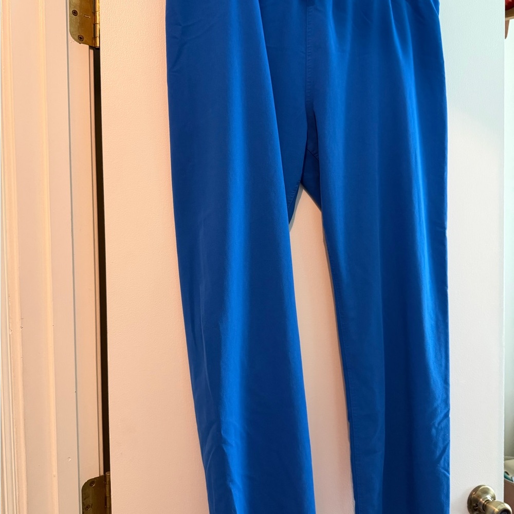 FIGS Women's Livingston Scrub Pants in Royal Blue